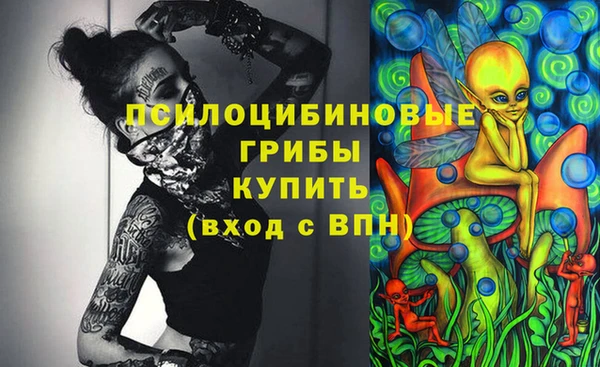 a pvp Абинск