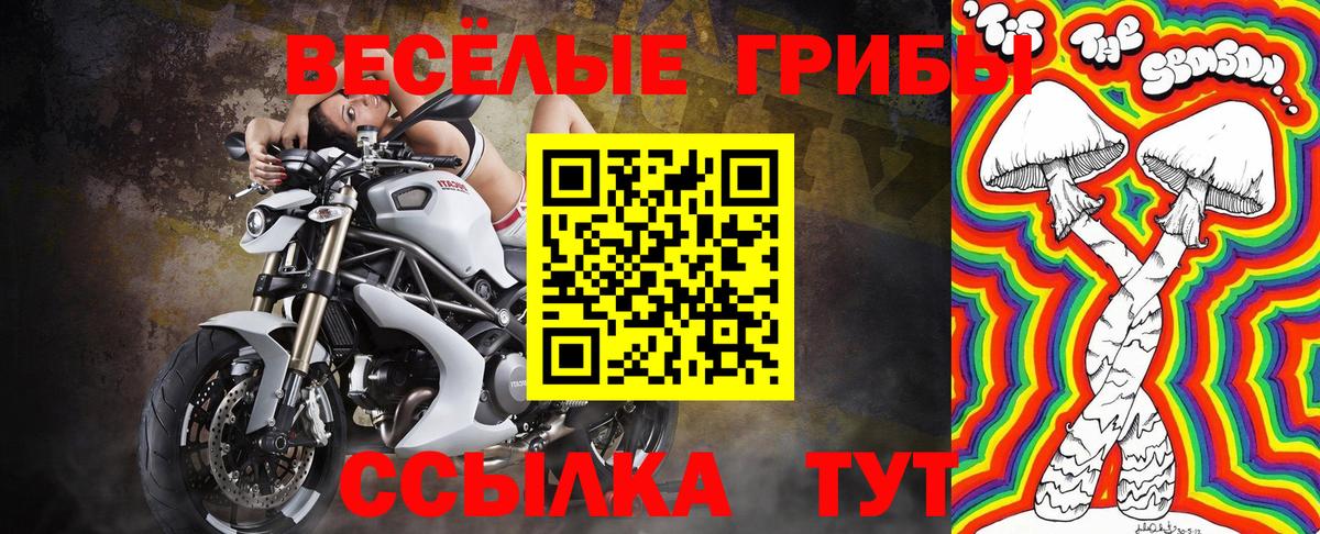 Каменка  Псилоцибиновые грибы MAGIC MUSHROOMS  Вход с VPN 