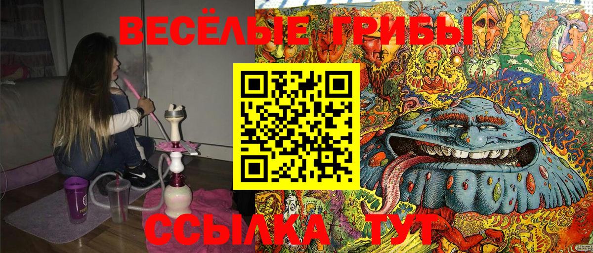 Псилоцибиновые грибы Cubensis Каменка